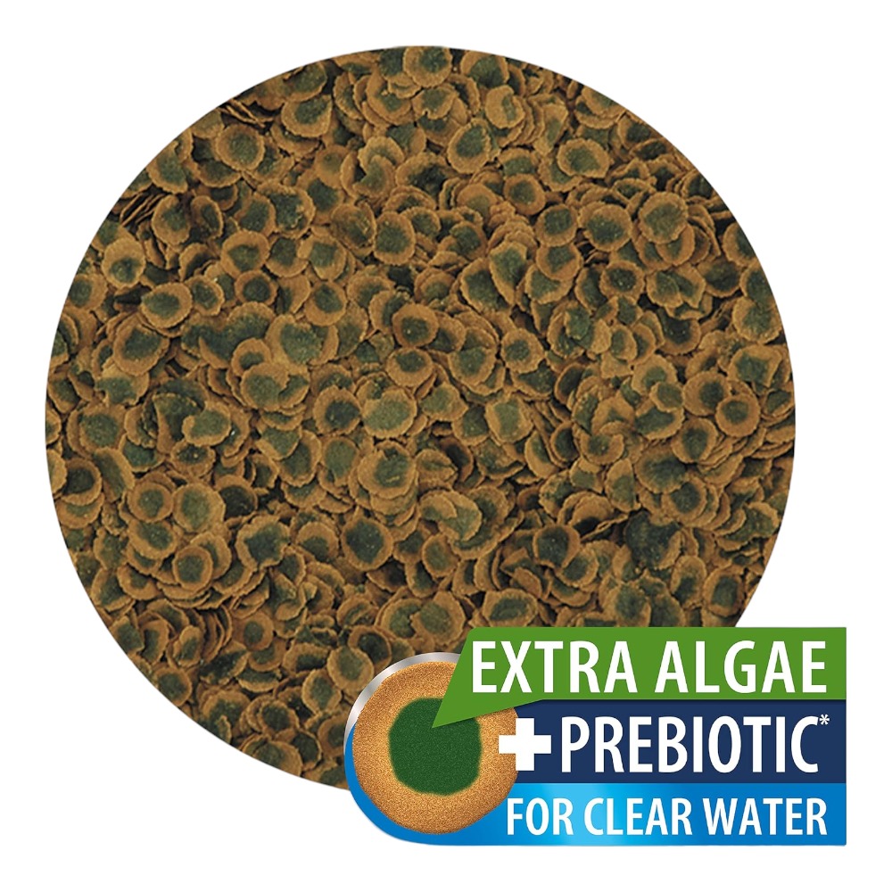 TetraPro Algae