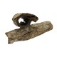 Ceramic Nature Catappa Bark Tube