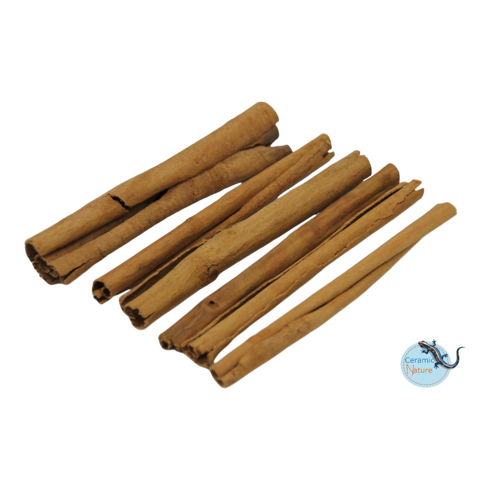 Ceramic Nature Cinnomon Bark Tubes 6x