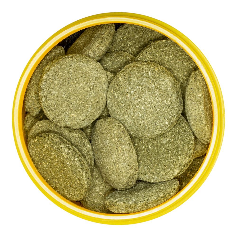 JBL PRONOVO Pleco Wafer XL