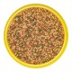 JBL PRONOVO Bel Grano S Click