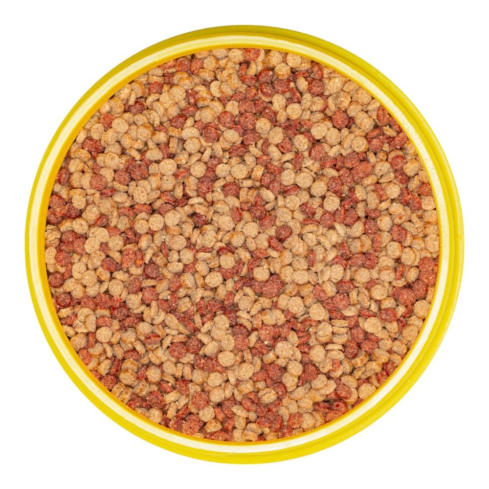 JBL PRONOVO Color Grano M 250ml Click