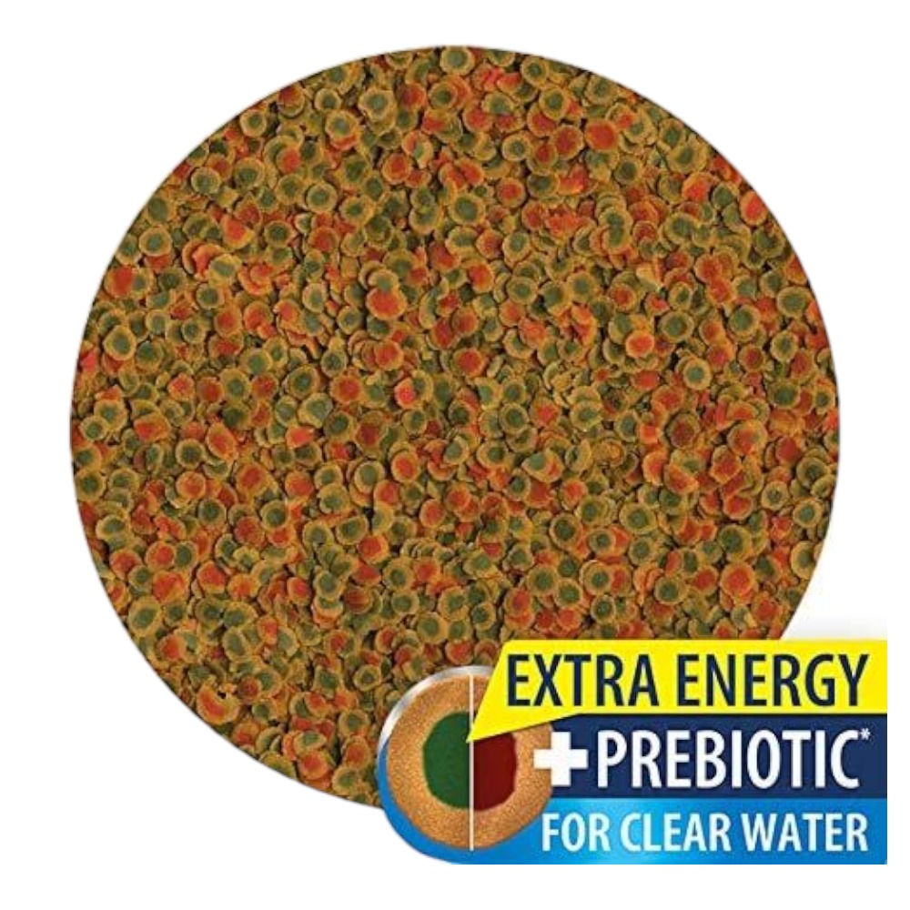 TetraPro Energy