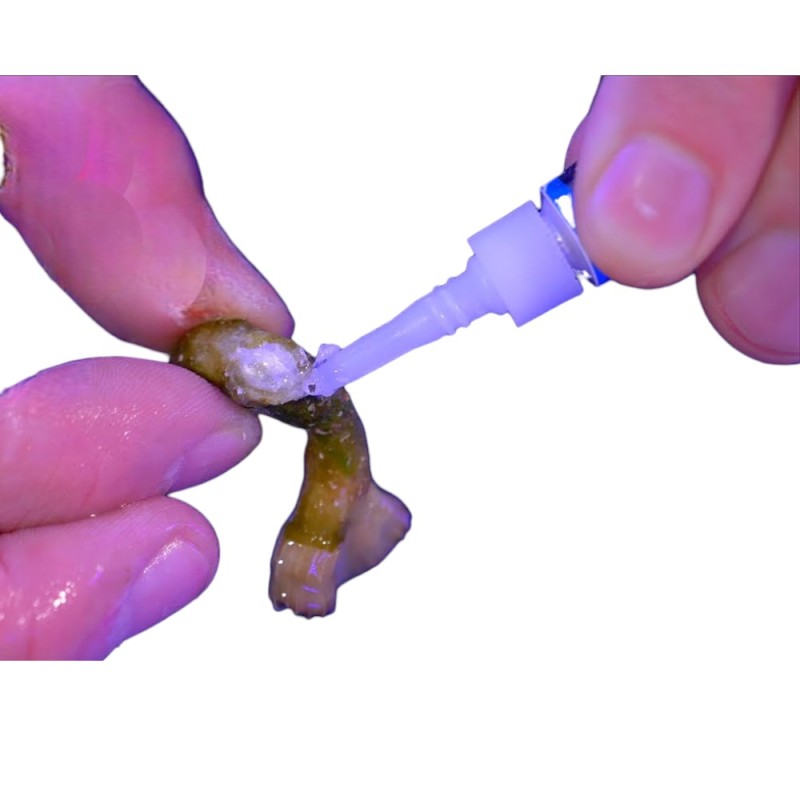 Seachem Reef Glue 20g