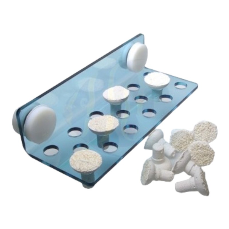 Ultra Coral Deck Set 12pcs