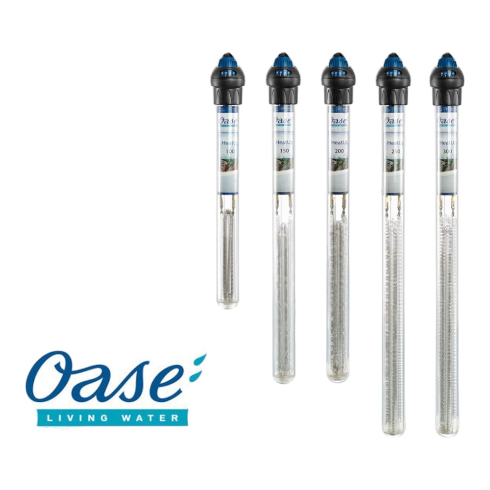 Oase Heatup