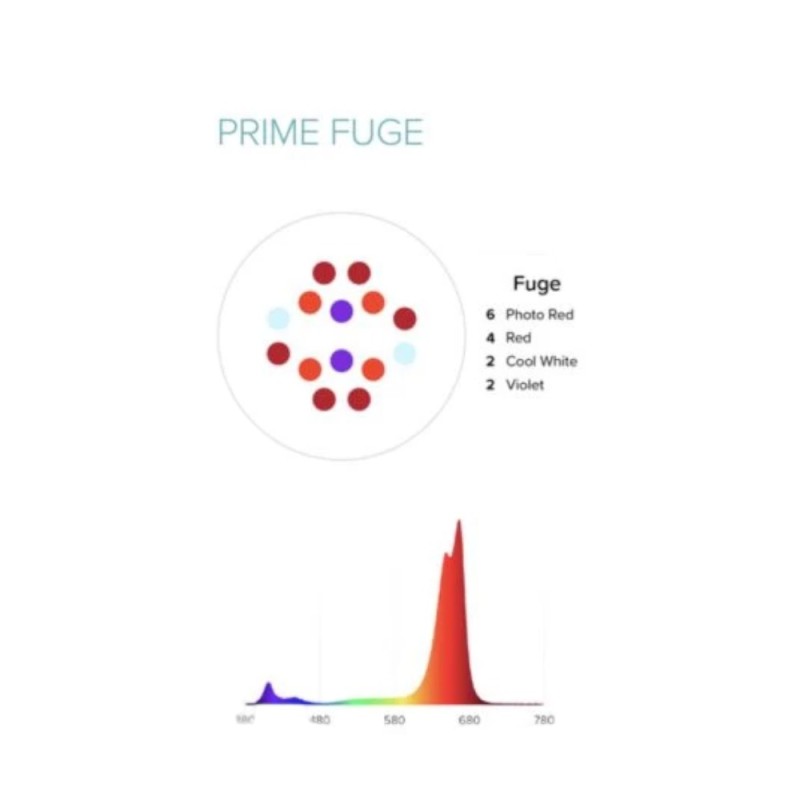 DD AI Prime 16 Fuge Led Light Black