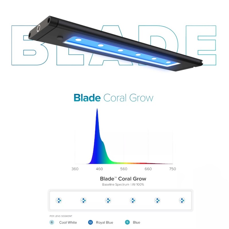 DD AI Blade Coral Growth