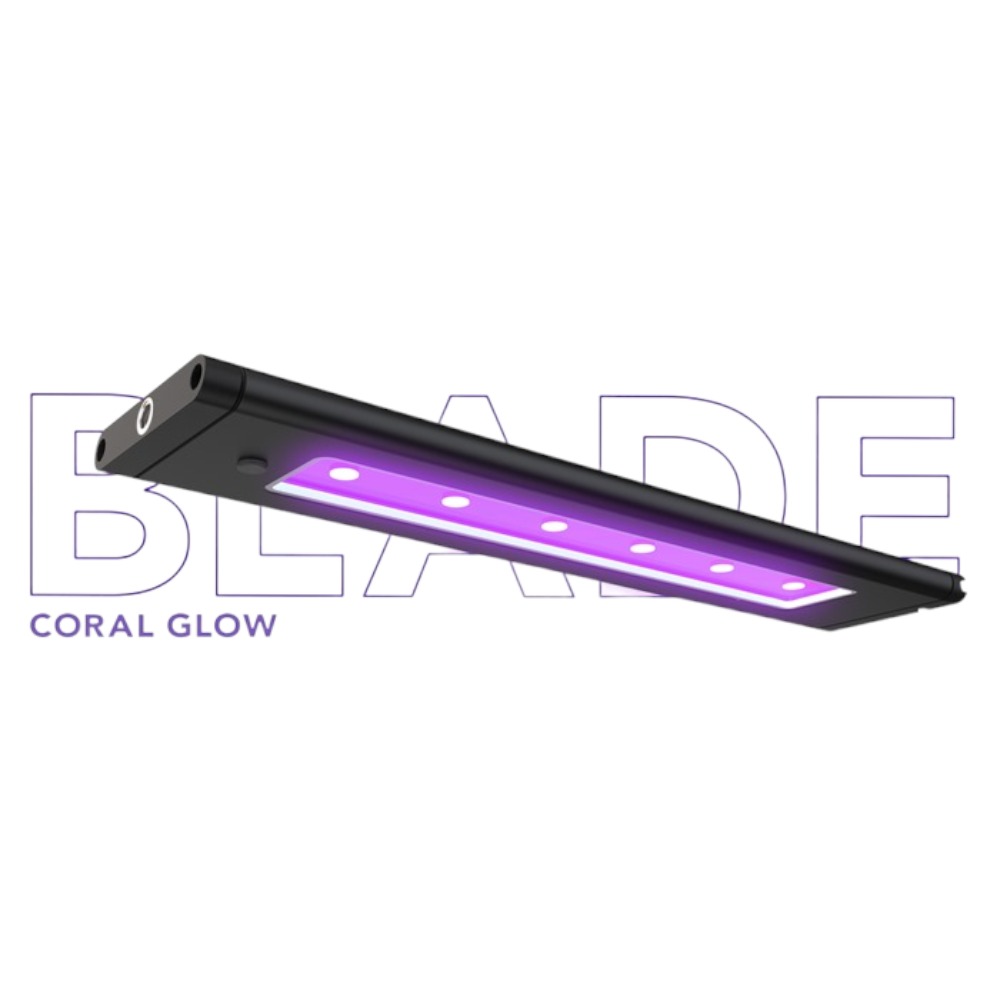 DD AI Blade Coral Glow