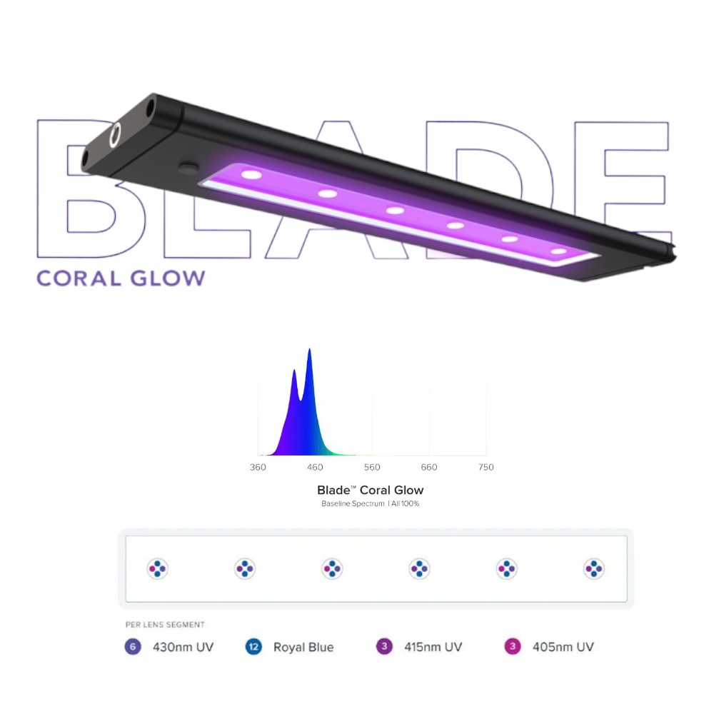 DD AI Blade Coral Glow