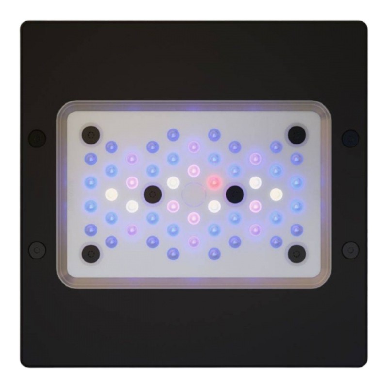 Ecotech G6 XR15 Blue Radion