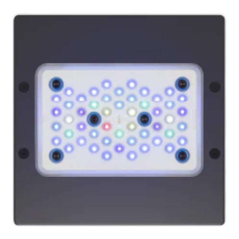 Ecotech G5 XR15 Blue Radion