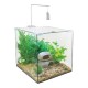 AquaOne Pendent 25 Brushed silver light and bracket
