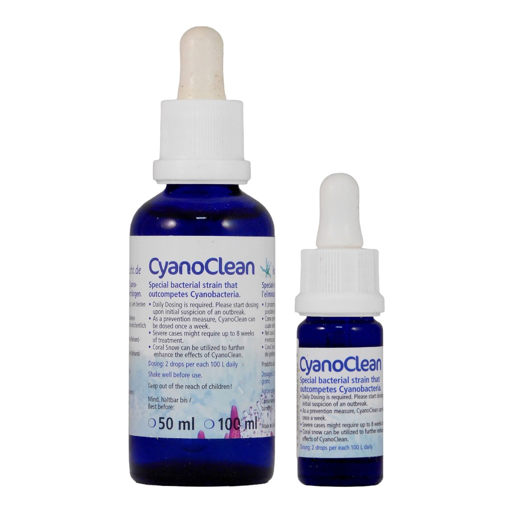 KZ Cyano Clean 10ml