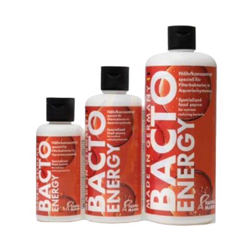 Fauna Marin Bacto Energy