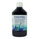 Flatworm Stop