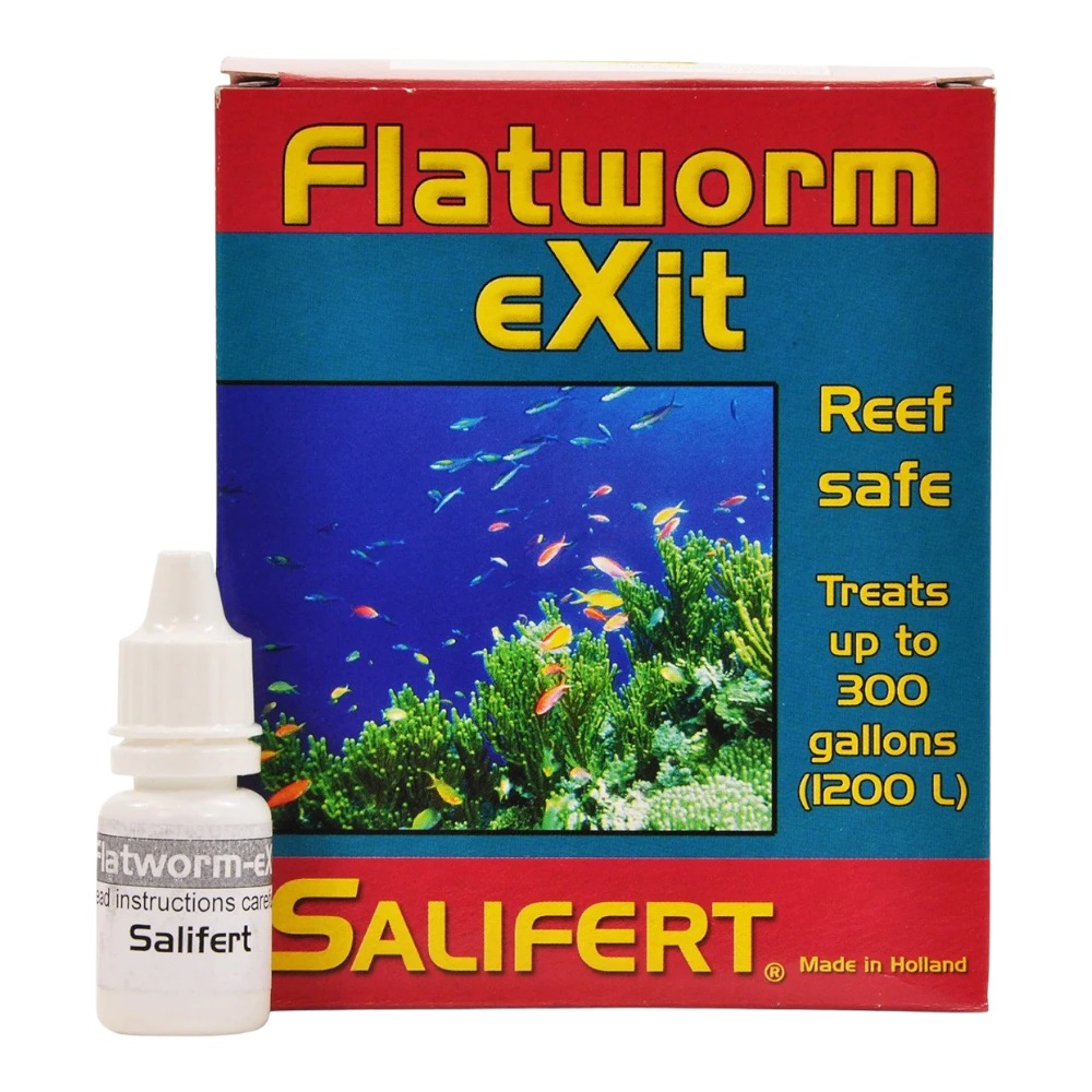 Flatworm Exit