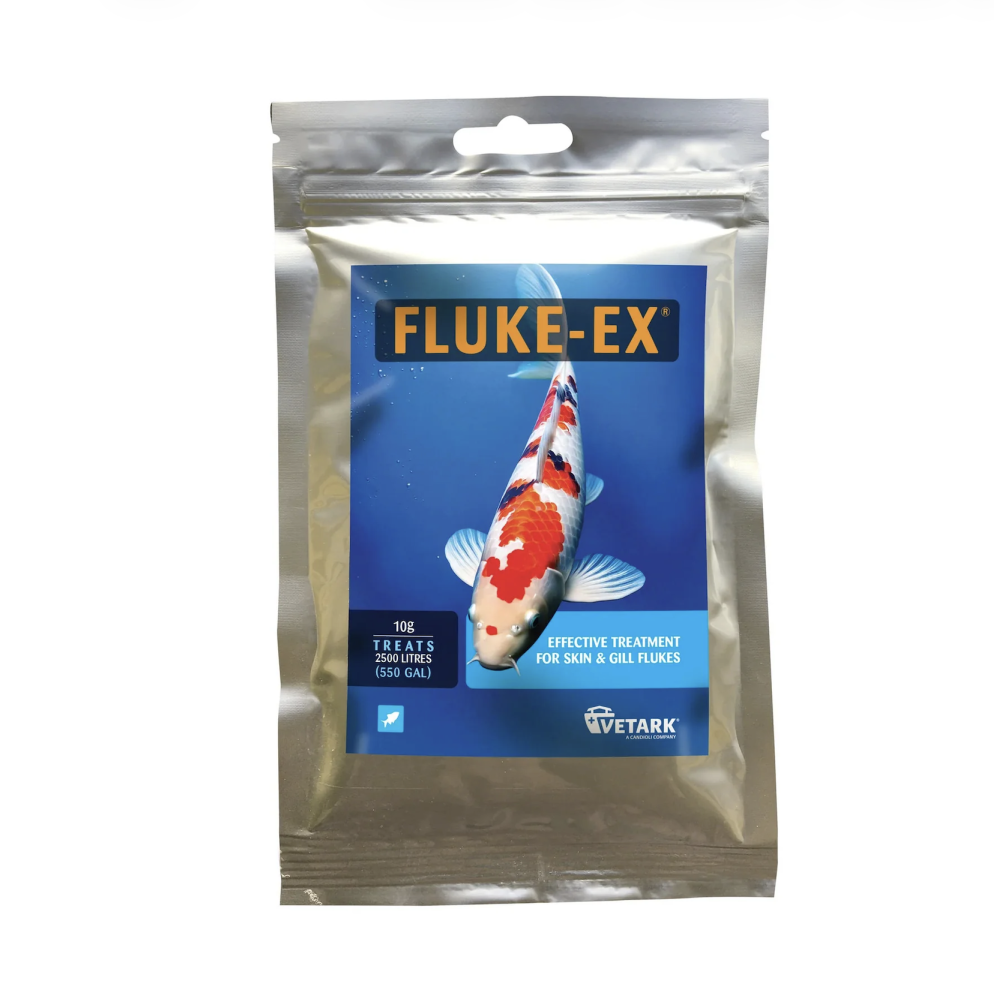 Fluke-Ex