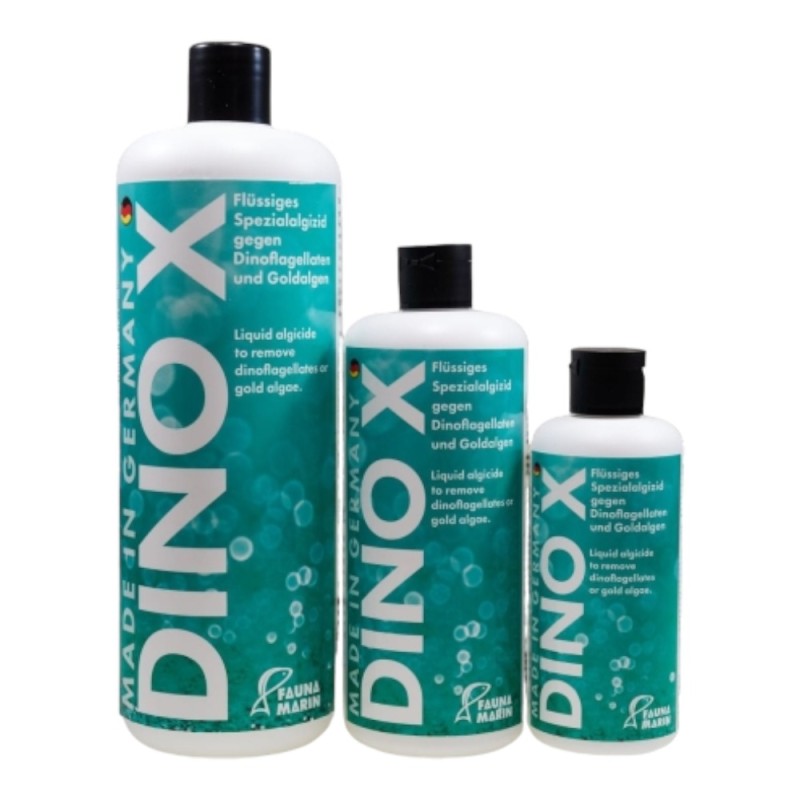 Dino X