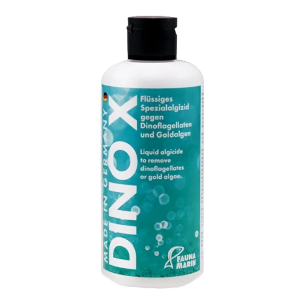 Dino X