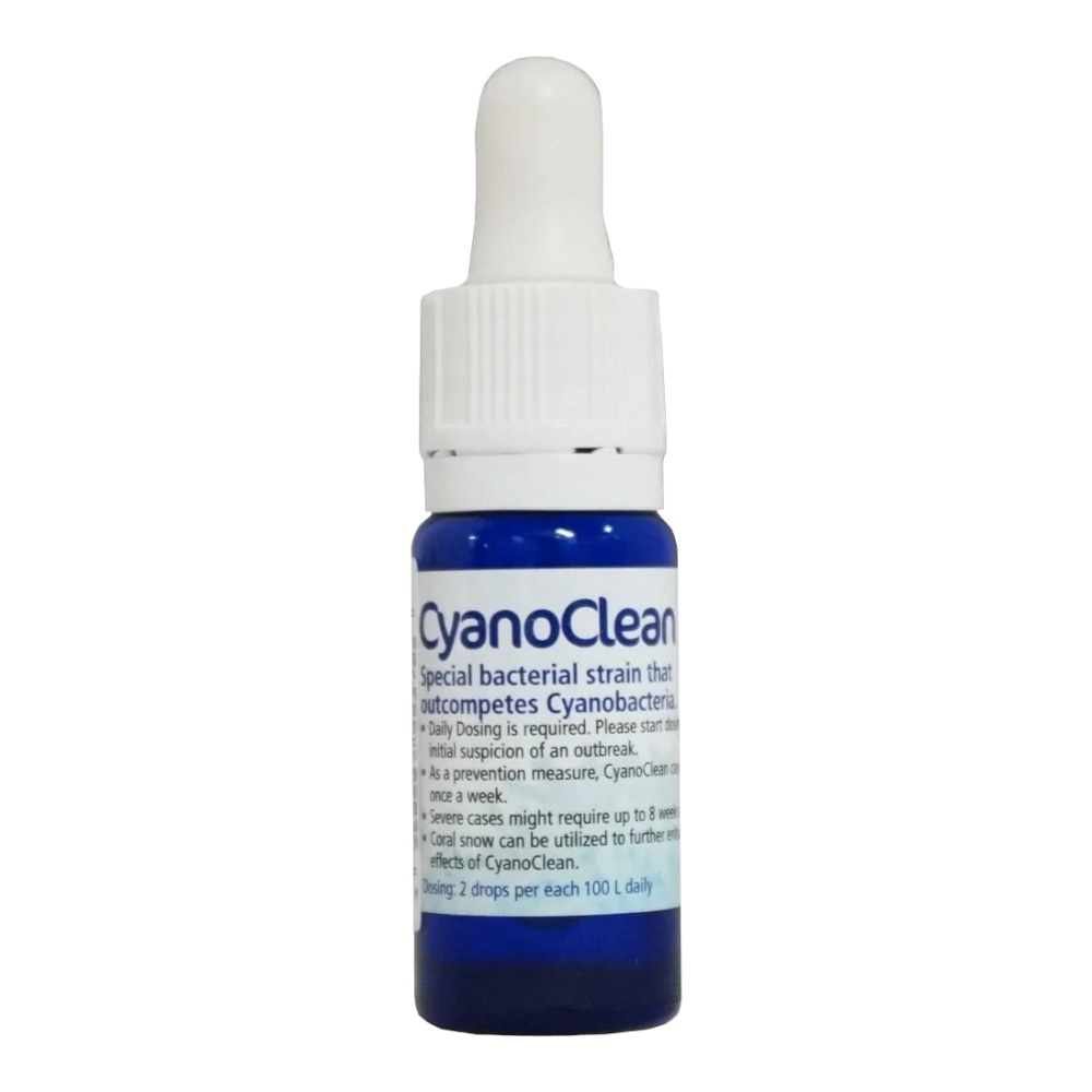 KZ Cyano Clean 50ml