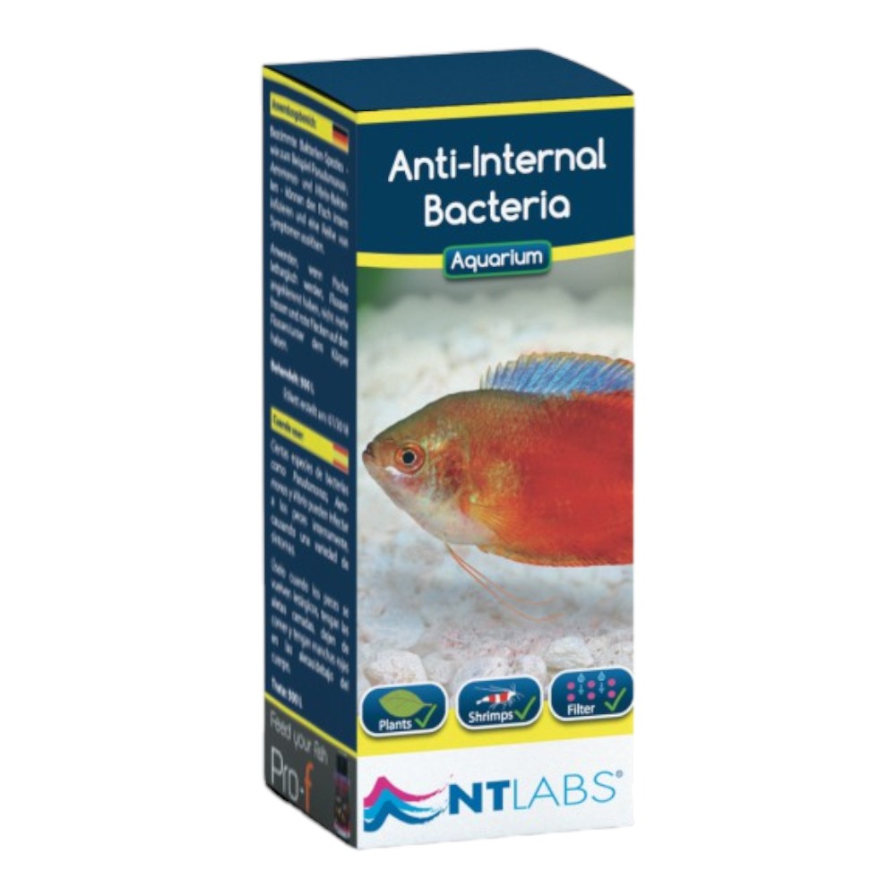 NT Anti-Internal Bacteria100ml