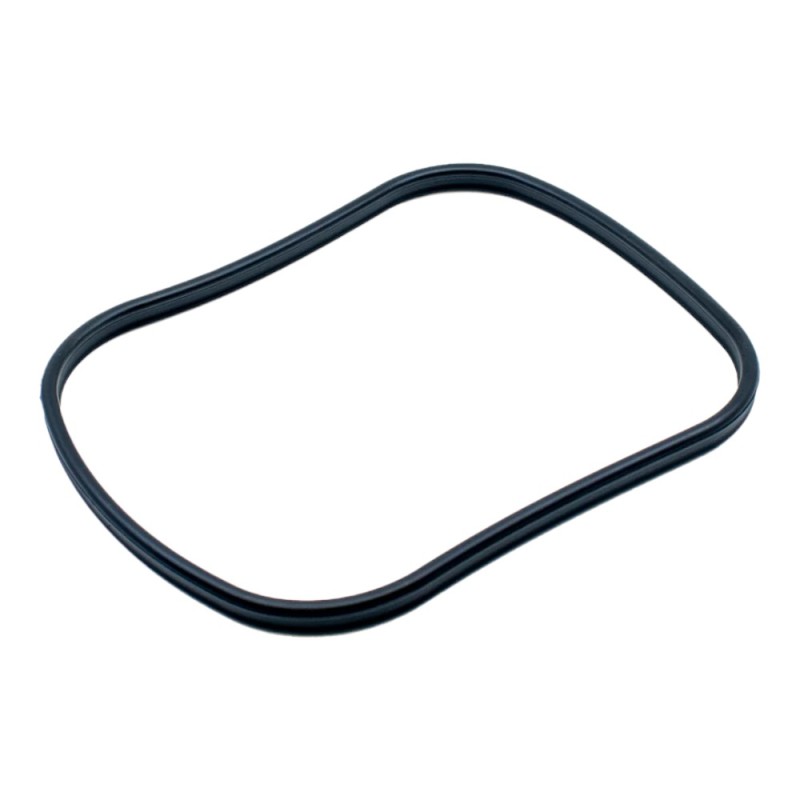 Oase Biomaster Main Gasket