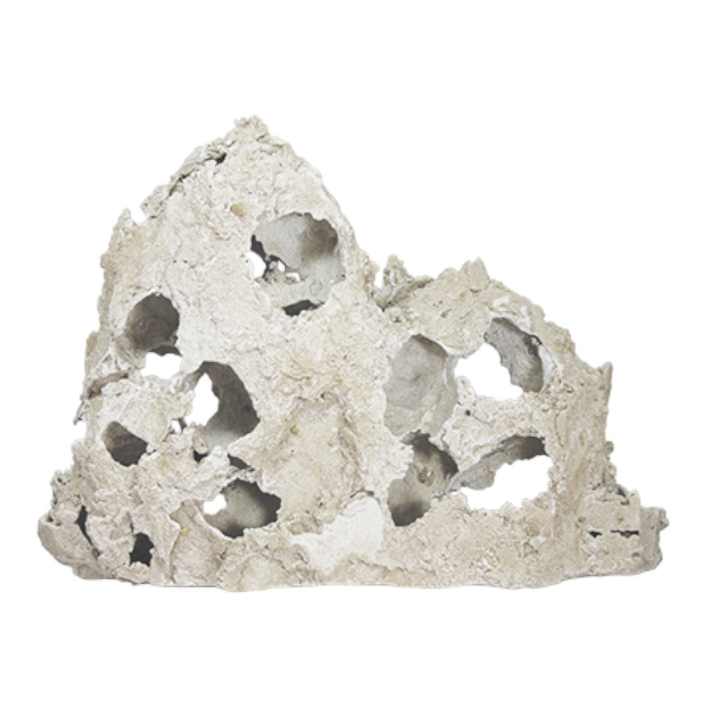 AquaOne Zikler Rock (XL)