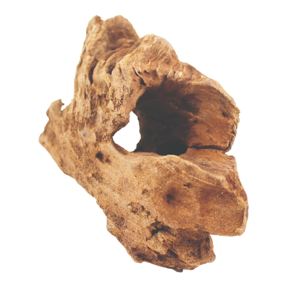 AquaOne Natural Driftwood (XS) (19-23cm) Shrink wrapped