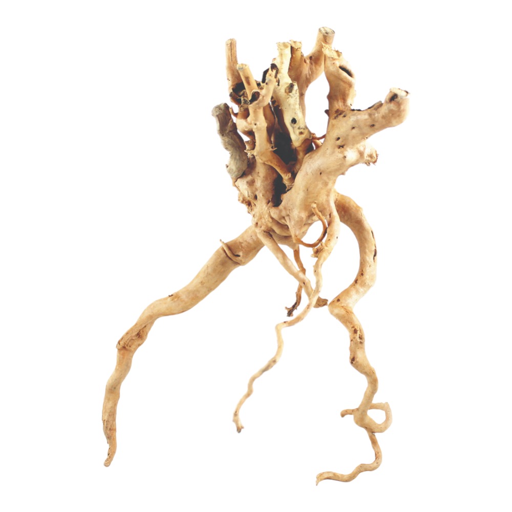 AquaOne Natural Azalea Root approx. 50 - 60 cm pieces