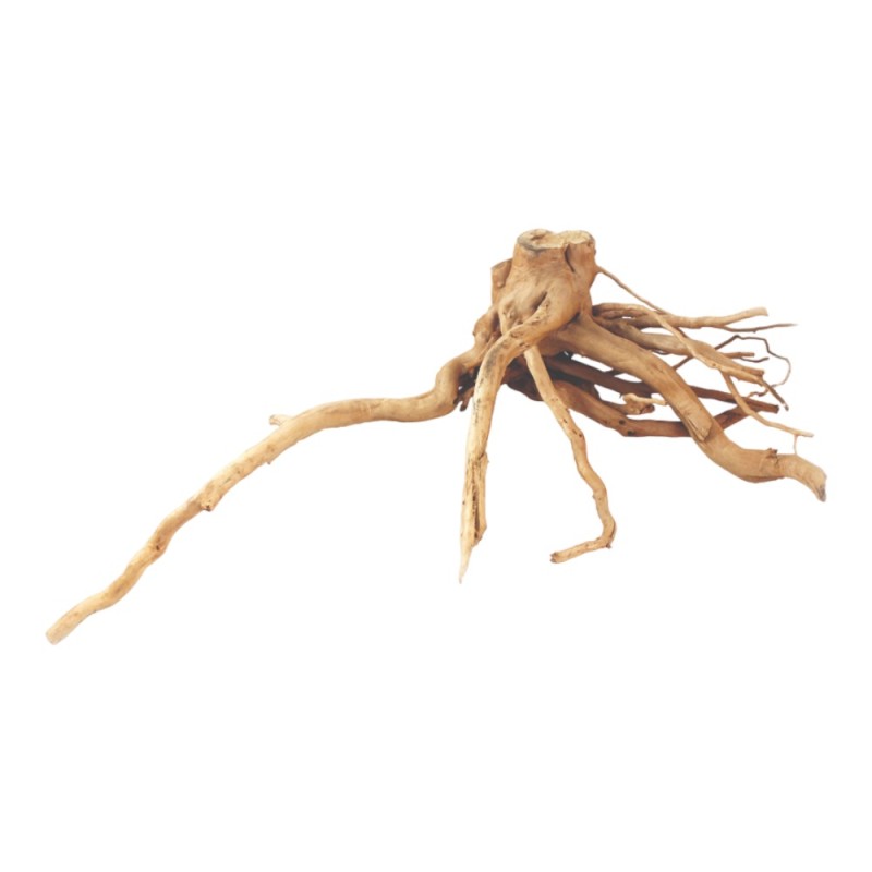 AquaOne Natural Azalea Wood XXXXL 100cm-120cm