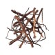 WIO Elder Root, Size 10-30cm Mix-250g