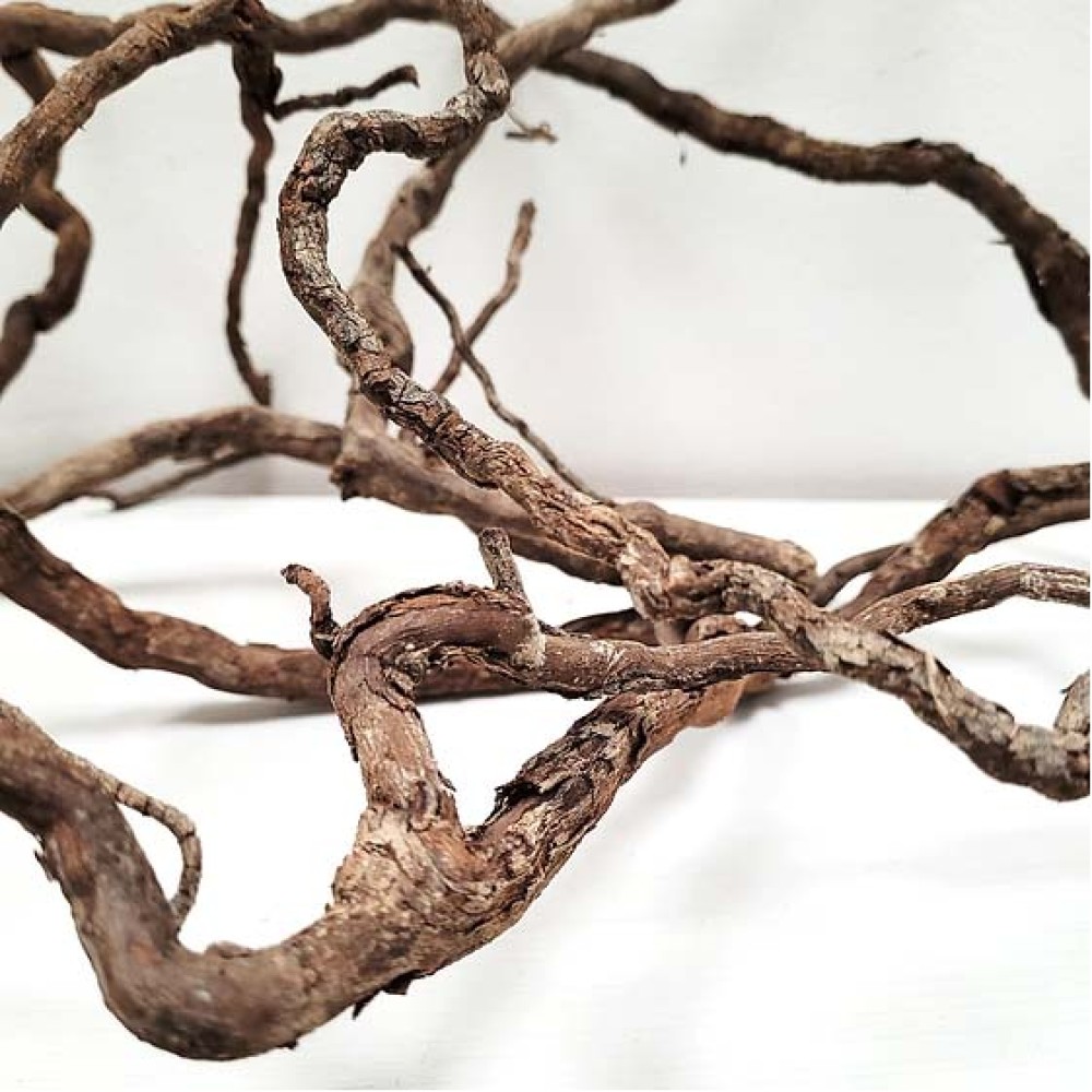 WIO Elder Root, Size 10-30cm Mix-250g