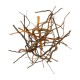 WIO Mix Root, Size 10-40cm Mix-140g