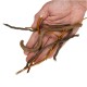 WIO Mix Root, Size 10-40cm Mix-140g