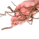 WIO Twisted Root, Size 10-40cm Mix-140g