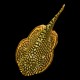 Hillstream Loach