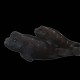 Buffalo Head Cichlid