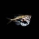 Marble Hatchet