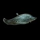 Clown Knife Fish