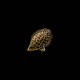 Leopard Bush Fish