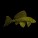 Plecos