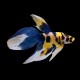 Yellow Koi Male Betta