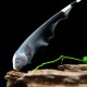 Black Ghost Knifefish