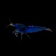 Blue Shrimp