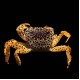 Panther Crab
