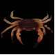 White Leg Matano Crab