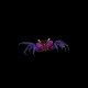Vampire Crab