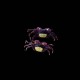 Vampire Crab