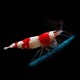 Crystal Red Bee Shrimp